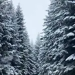 Pahuljica Villa Jahorina