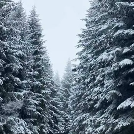 Pahuljica Villa Jahorina