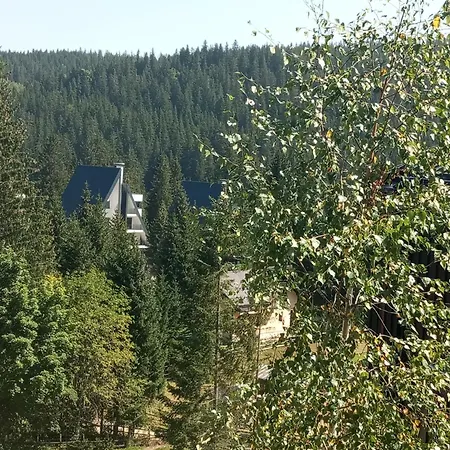 Villa Pahuljica Jahorina