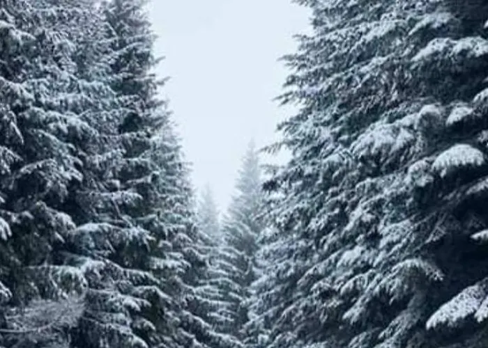 Pahuljica 别墅 亚霍里纳