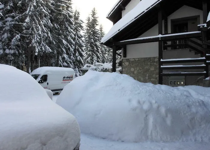 Pahuljica * 亚霍里纳